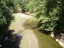 foto/diskuze/z_lovu/2012/th-img50456.jpg