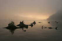 foto/diskuze/z_lovu/2012/th-img50480.jpg