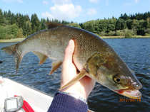 foto/diskuze/z_lovu/2012/th-img50527.jpg