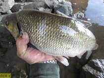 foto/diskuze/z_lovu/2012/th-img50553.jpg