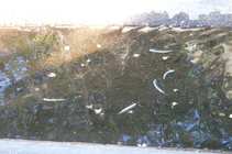 foto/diskuze/z_lovu/2012/th-img50569.jpg