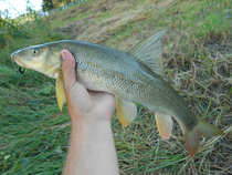 foto/diskuze/z_lovu/2012/th-img50583.jpg