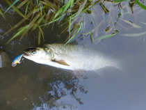 foto/diskuze/z_lovu/2012/th-img50612.jpg
