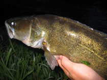foto/diskuze/z_lovu/2012/th-img50650.jpg