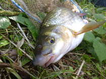 foto/diskuze/z_lovu/2012/th-img50659.jpg