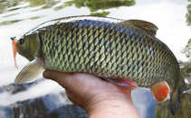 foto/diskuze/z_lovu/2012/th-img50672.jpg
