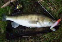 foto/diskuze/z_lovu/2012/th-img50698.jpg