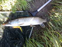 foto/diskuze/z_lovu/2012/th-img50706.jpg