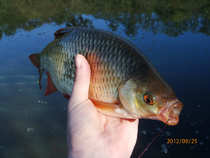 foto/diskuze/z_lovu/2012/th-img50735.jpg