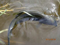 foto/diskuze/z_lovu/2012/th-img50737.jpg