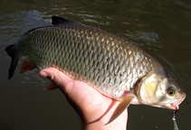 foto/diskuze/z_lovu/2012/th-img50752.jpg
