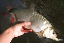 foto/diskuze/z_lovu/2012/th-img50753.jpg