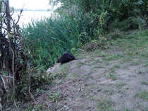 foto/diskuze/z_lovu/2012/th-img50760.jpg