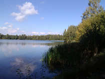 foto/diskuze/z_lovu/2012/th-img50786.jpg