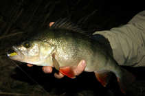 foto/diskuze/z_lovu/2012/th-img50804.jpg
