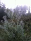foto/diskuze/z_lovu/2012/th-img50845.jpg