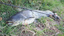 foto/diskuze/z_lovu/2012/th-img50866.jpg