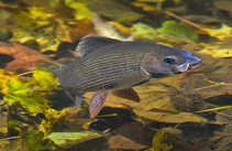 foto/diskuze/z_lovu/2012/th-img50870.jpg