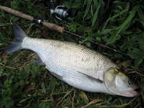foto/diskuze/z_lovu/2012/th-img50878.jpg