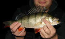 foto/diskuze/z_lovu/2012/th-img50963.jpg