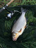 foto/diskuze/z_lovu/2012/th-img50975.jpg