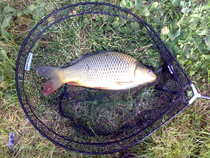foto/diskuze/z_lovu/2012/th-img51038.jpg