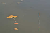 foto/diskuze/z_lovu/2012/th-img51049.jpg