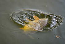 foto/diskuze/z_lovu/2012/th-img51050.jpg