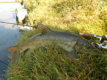 foto/diskuze/z_lovu/2012/th-img51094.jpg