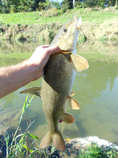 foto/diskuze/z_lovu/2012/th-img51095.jpg
