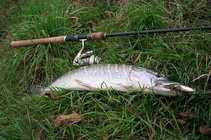 foto/diskuze/z_lovu/2012/th-img51157.jpg