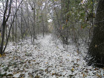 foto/diskuze/z_lovu/2012/th-img51192.jpg