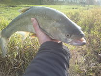 foto/diskuze/z_lovu/2012/th-img51267.jpg