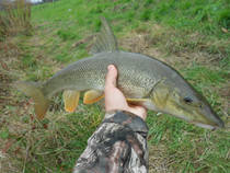 foto/diskuze/z_lovu/2012/th-img51326.jpg