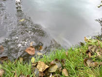 foto/diskuze/z_lovu/2012/th-img51360.jpg
