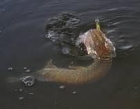 foto/diskuze/z_lovu/2012/th-img51378.jpg