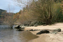 foto/diskuze/z_lovu/2012/th-img51441.jpg