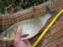 foto/diskuze/z_lovu/2012/th-img52889.jpg