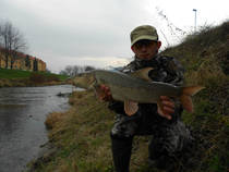 foto/diskuze/z_lovu/2012/th-img88663.jpg