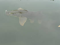 foto/diskuze/z_lovu/2012/th-img88665.jpg