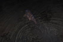 foto/diskuze/z_lovu/2012/th-img89349.jpg