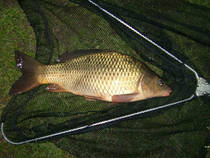 foto/diskuze/z_lovu/2012/th-img89361.jpg
