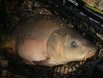 foto/diskuze/z_lovu/2012/th-img89367.jpg