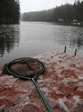 foto/diskuze/z_lovu/2012/th-img89493.jpg
