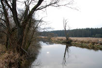 foto/diskuze/z_lovu/2012/th-img89573.jpg