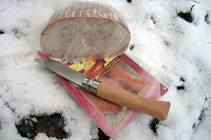 foto/diskuze/z_lovu/2012/th-img90192.jpg
