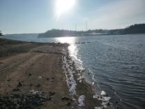 foto/diskuze/z_lovu/2012/th-img90318.jpg