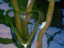 foto/diskuze/z_lovu/2012/th-img90453.jpg