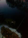 foto/diskuze/z_lovu/2012/th-img90454.jpg