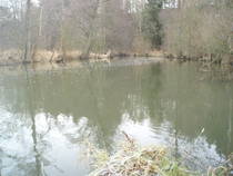 foto/diskuze/z_lovu/2012/th-img91140.jpg